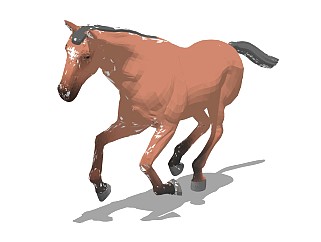 精品动物模型 马(8)